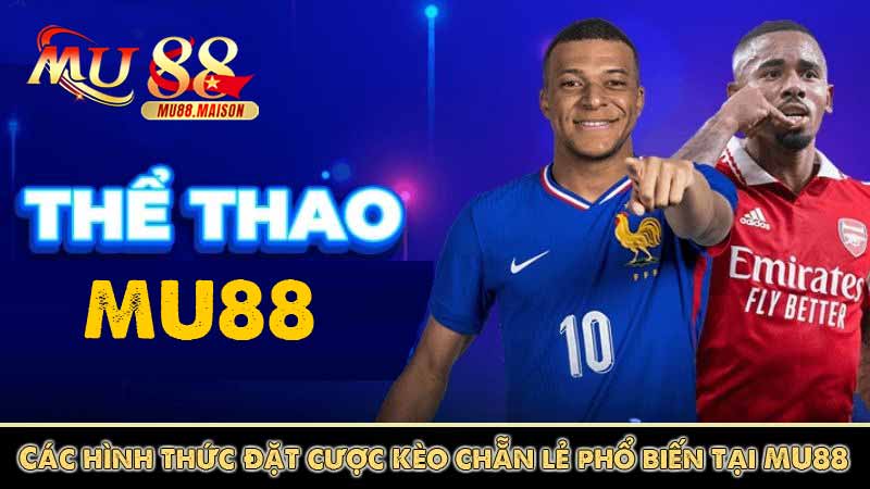 Các hình thức đặt cược kèo chẵn lẻ phổ biến tại MU88