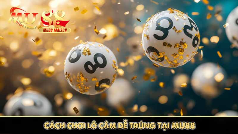 Lô Câm Là gì? Mẹo Bắt Lô Câm Siêu Chuẩn Không Nên Bỏ Lỡ 9 Cách chơi lô câm dễ trúng tại MU88