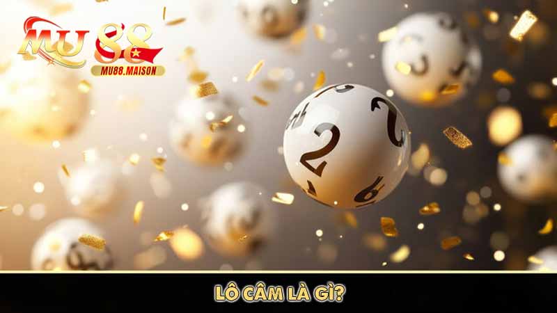 Lô Câm Là gì? Mẹo Bắt Lô Câm Siêu Chuẩn Không Nên Bỏ Lỡ 8 Lô câm là gì?