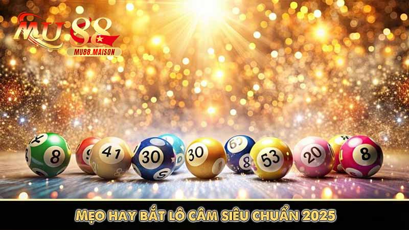 Lô Câm Là gì? Mẹo Bắt Lô Câm Siêu Chuẩn Không Nên Bỏ Lỡ 11 Mẹo hay bắt lô câm siêu chuẩn 2025