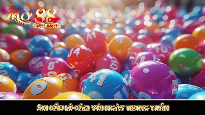 Lô Câm Là gì? Mẹo Bắt Lô Câm Siêu Chuẩn Không Nên Bỏ Lỡ 12 Soi cầu lô câm với ngày trong tuần