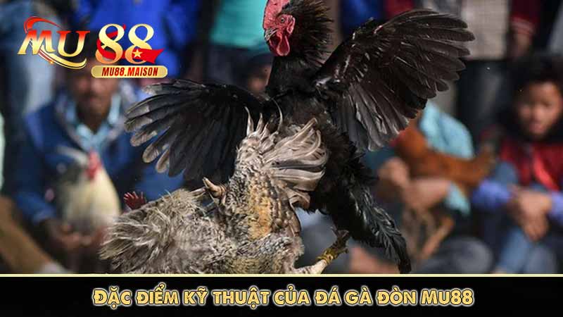Đá Gà Đòn - Góc Nhìn Toàn Diện Về Đá Gà Đòn Tại Mu88 7 Đặc điểm kỹ thuật của đá gà đòn Mu88