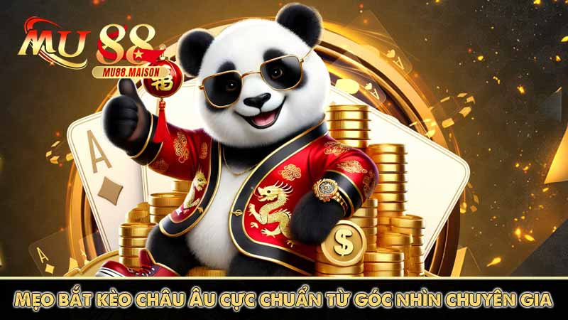Mẹo bắt kèo châu Âu cực chuẩn từ góc nhìn chuyên gia