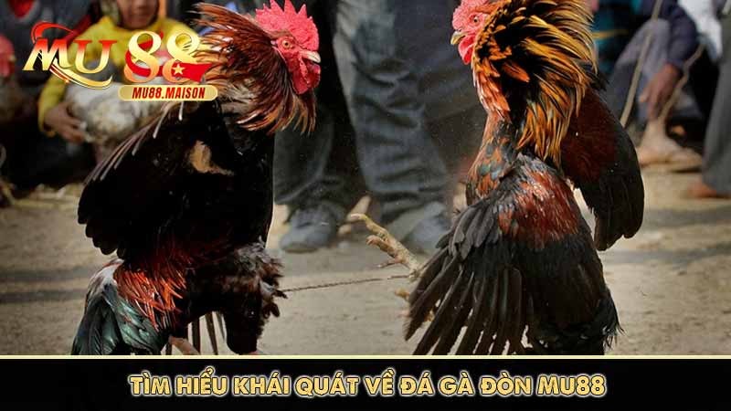 Đá Gà Đòn - Góc Nhìn Toàn Diện Về Đá Gà Đòn Tại Mu88 6 Tìm hiểu khái quát về đá gà đòn Mu88